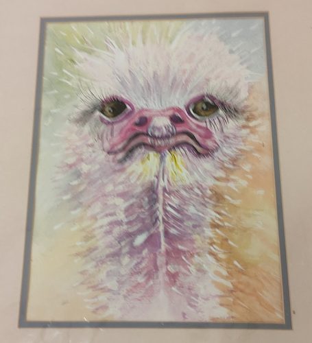 Chris M, Ellie the Emu.